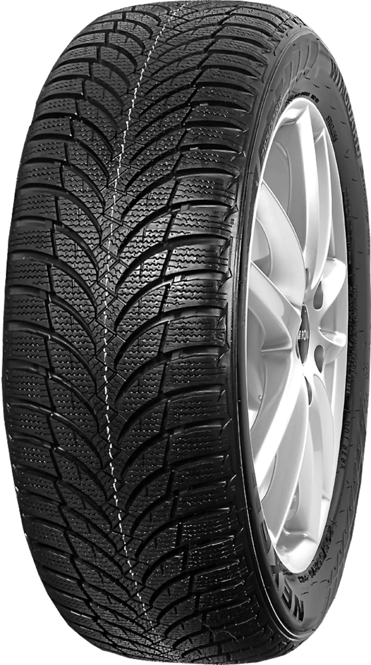 Winguard Snow G WH2