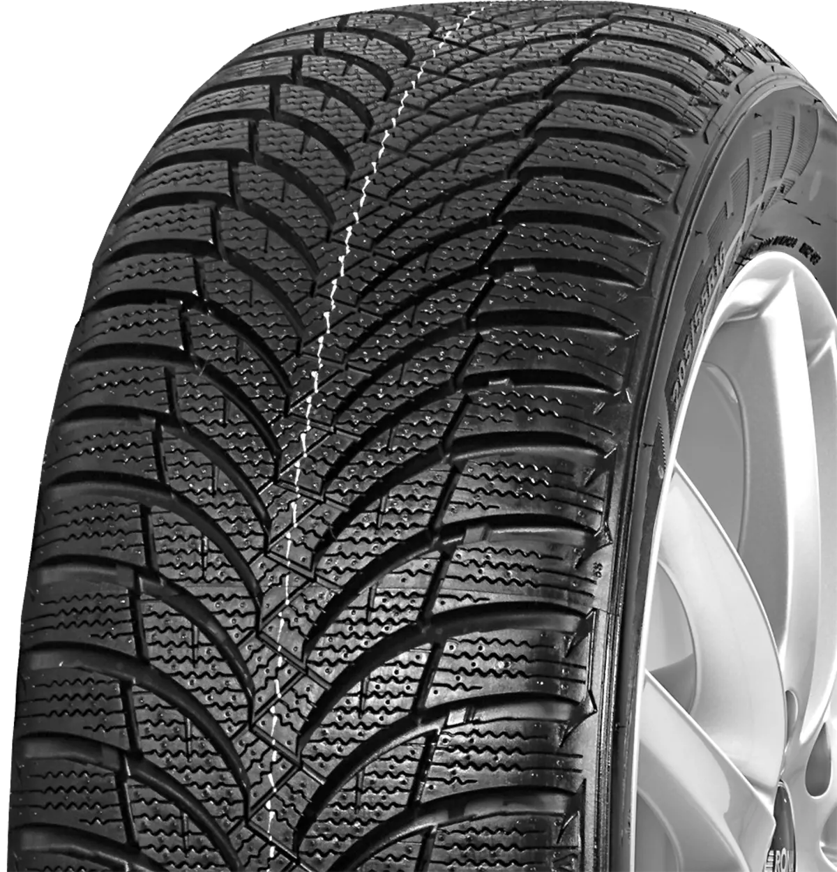 Winguard Snow G WH2